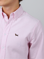 Hemd Pink - Dackel