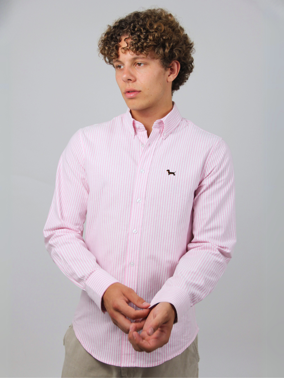 Pinkes Oxford-Hemd mit Dackel-Stickerei, am Model