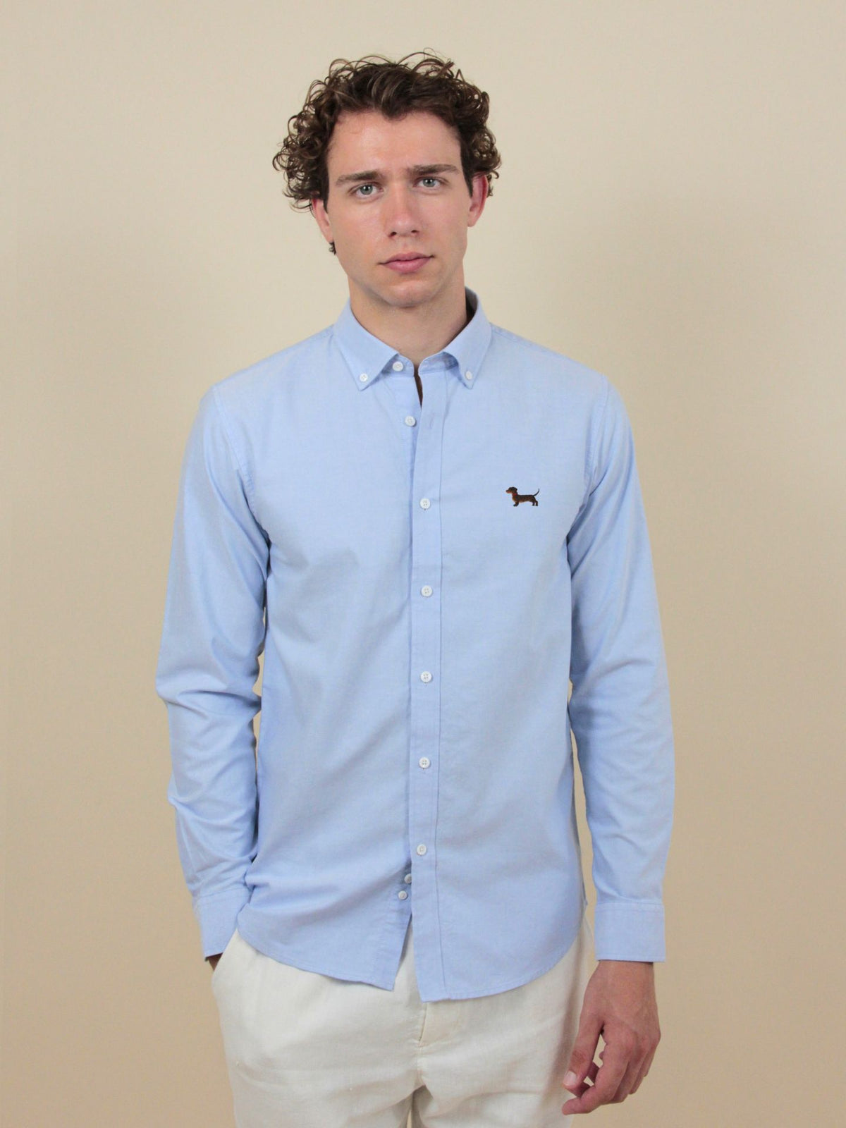 Dackel Oxford Hemd – Himmelblau
