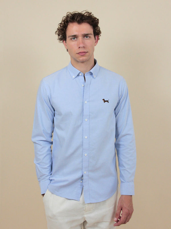 Dackel Oxford Hemd – Himmelblau