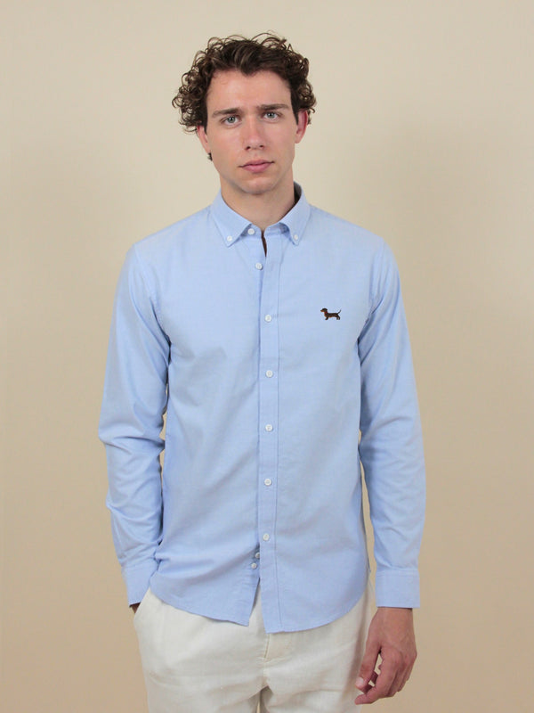 Dackel Oxford Hemd – Himmelblau