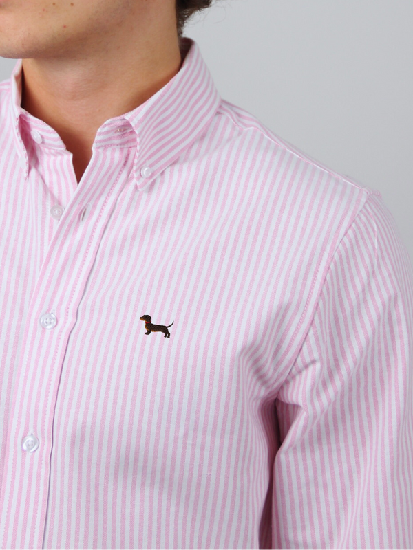 Hemd Pink - Dackel