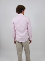 Hemd Pink - Dackel